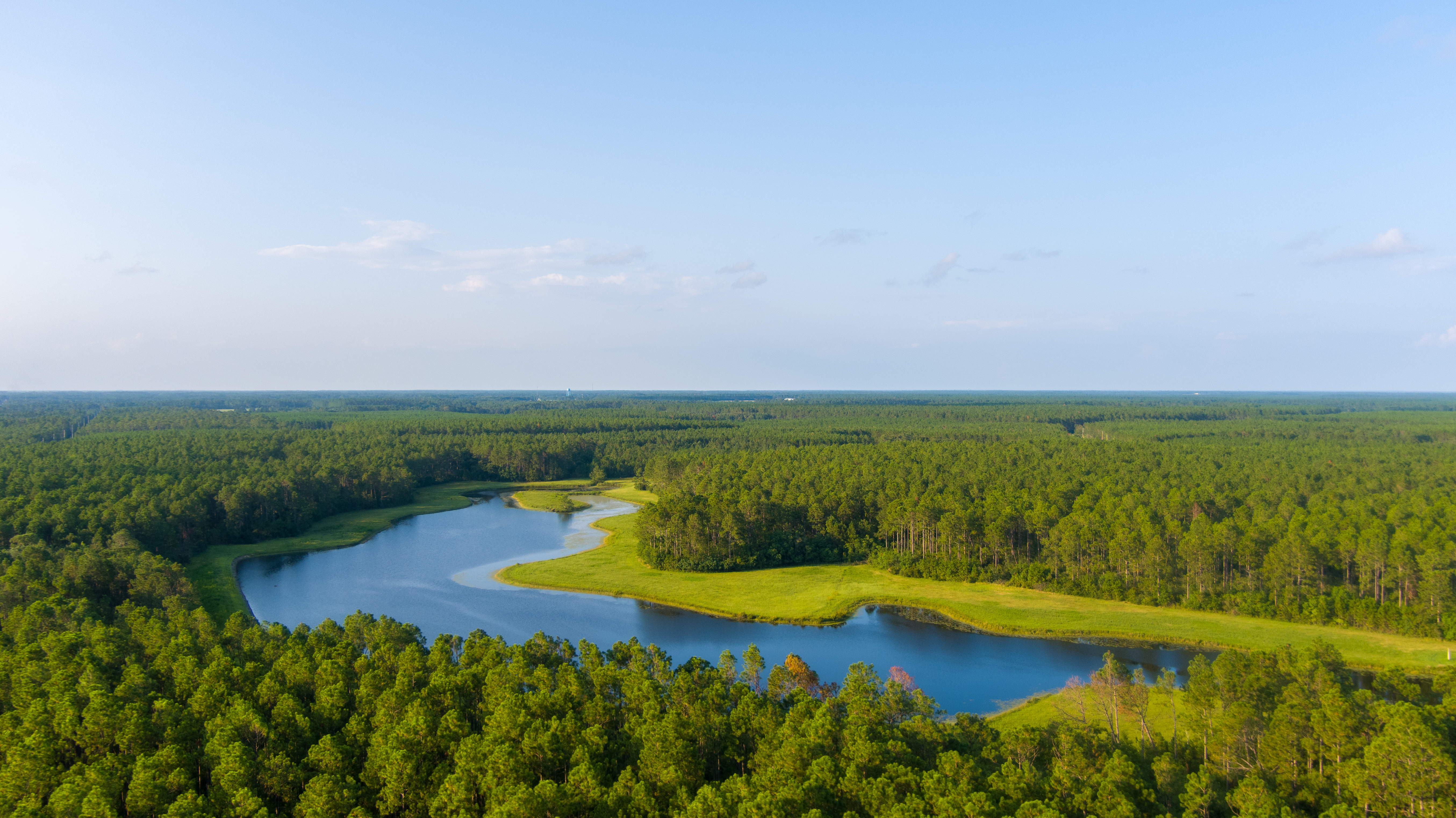 Aerial view of Alabama river winding through pine forest and green landscape